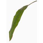Kunst Keulenlilien Blatt ELARA, grün, 90cm