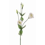 Künstliche Lisianthus JUDIKA, weiß-grün, 70cm, Ø6-7cm