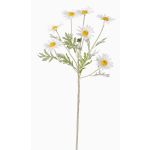 Kunstblumenzweig Margerite LEONIA, weiß, 60cm, Ø6cm