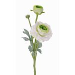 Ranunkel Zweig künstlich YAKIRA, weiß-grün, 40cm, Ø4,5-9cm
