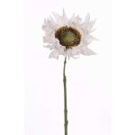 Künstliche Sonnenblume JANIKA, weiß, 60cm, Ø13cm
