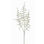 Kunst Asparagus acutifolius Zweig JOCHEN, grün, 70cm