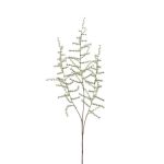 Kunst Asparagus acutifolius Zweig HANS, grün, 70cm
