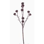 Künstlicher Eukalyptus Zweig BASILIUS mit Früchten, braun, 60cm