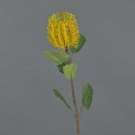 Kunstblume Banksia robur CONAKIR, gelb, 55cm, Ø6,5cm
