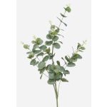 Eukalyptus Kunstzweig DEREK, grün-grau, 75cm