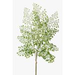 Dekoblatt Frauenhaarfarn HALIMA, grün, 60cm