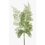 Dekoblatt Schildfarn HALIMA, grün, 60cm