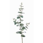 Künstlicher Eukalyptuszweig CALLIOPE, grün-grau, 70cm