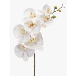 Künstlicher Phalaenopsis Orchideenzweig NEITH, weiß, 75cm, Ø7-10,5cm
