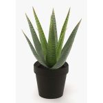Künstliche Sukkulente Aloe Variegata MARTINEZ, grün, 25cm, Ø17cm