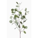 Künstlicher Eukalyptus Zweig COLTON, grün-grau, 85cm