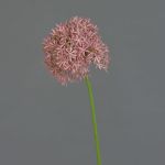 Kunstblume Allium ARNAU, rosa, 60cm, Ø10cm