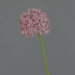 Kunstblume Allium ARNAU, violett, 60cm, Ø10cm