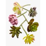 Künstliche Sukkulenten Set JADON, Steckstab, 6 Stück, bunt, 13cm, Ø5cm