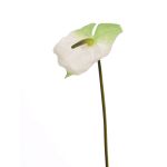 Flamingoblume künstlich MOIRA, weiß-grün, 75cm, 13x18cm