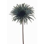Kunstblume Gerbera SIEDA, blau-grün, 65cm, Ø12cm