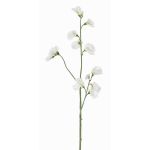 Kunstblumenzweig Lathyrus ASFALOTH, weiß, 65cm, Ø3-5cm