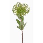 Künstliche Nadelkissen Protea BAILY, grün, 55cm, Ø10cm