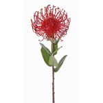Künstliche Nadelkissen Protea BAILY, rot, 55cm, Ø10cm