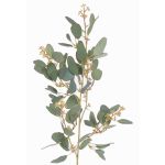 Eukalyptus Zweig künstlich COBAR mit Blüten, crossdoor, grün, 65cm, Ø1,5cm