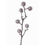 Deko Edeldistel Zweig ROBBY, silber, 80cm, Ø4cm