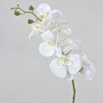 Phalaenopsis Orchideenzweig künstlich OPHELIA, weiß, 80cm, Ø8-9cm