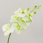 Phalaenopsis Orchideenzweig künstlich OPHELIA, creme-grün, 80cm, Ø8-9cm