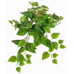 Dekopflanze Efeututen Hänger SHELLEY auf Steckstab, Eco Collection, grün, 55cm