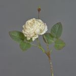 Kunstblume Kohl-Rose VOMTE, Trockenoptik, beige, 45cm, Ø7cm