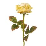 Kunstblume Rose DRINT, Trockenoptik, grün-creme, 60cm, Ø10,5cm