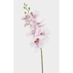 Künstlicher Phalaenopsis Orchideenzweig AXELOR, weiß-rosa, 85cm