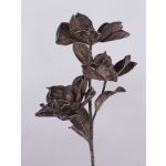 Künstlicher Kamelien Zweig Kunststoffschaum RANIA, braun, 95cm, Ø18-22cm