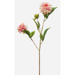 Kunstzweig Dahlie CEVAST, rosa-creme, 70cm, Ø7-8cm
