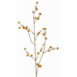 Künstlicher Zweig Stirlingia latifolia COLLAN, orange-grün, 75cm, Ø1cm