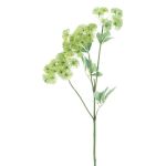 Deko Zweig Wilde Möhre FLAWA, hellgrün, 65cm