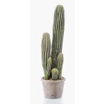 Kunst Kaktus San Pedro DACON im Dekotopf, grün, 55cm