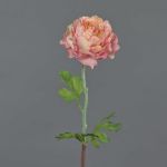 Künstliche Ranunkel ELORIO, rosa-creme, 50cm, Ø10cm