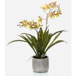 Kunst Oncidium Orchidee COLUNGA im Keramiktopf, gelb-orange, 45cm