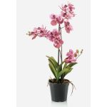 Kunstblume Vanda Orchidee CAMPO, rosa-pink, 60cm