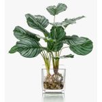 Kunstpflanze Calathea Orbifolia AGINA im Glastopf, grün-weiß, 45cm