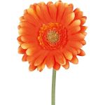 Künstliche Blume Gerbera TUNZA, orange, 50cm