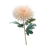 Künstliche Chrysantheme HIKJON, creme-aprikose, 75cm, Ø18cm