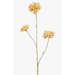 Deko Zweig Scabiosa DIHALLY, gelb-pfirsich, 80cm, Ø8-9cm