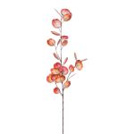 Dekozweig Eukalyptus VORTAN, koralle, 85cm