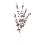 Dekozweig Eukalyptus TRELVO, burgunderrot, 75cm