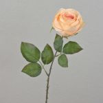 Rose künstlich FINAKAS, aprikose, 65cm, Ø9cm