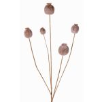 Künstlicher Mohnkapsel Zweig FILOMELA, hellbraun, 75cm, Ø2-3,5cm