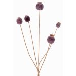 Künstlicher Mohnkapsel Zweig FILOMELA, dunkelbraun, 75cm, Ø2-3,5cm