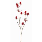Deko Zweig Edeldistel LOUKAS, rot, 45cm, Ø1-1,5cm